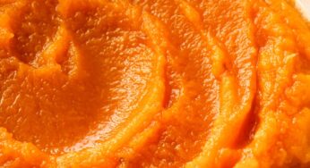 How to make Homemade Pumpkin Puree (And how to make it without pumpkins!)
