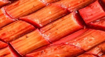 Roasted Rhubarb Recipe – How to cook rhubarb without it going mushy